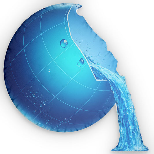 Frutiger Aero Web Globe Pillow - Classic